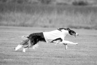 Open Prelim 2, Masquerade Freebie-0529-2