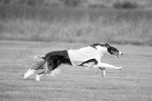 Open Prelim 2, Masquerade Freebie-0529-2