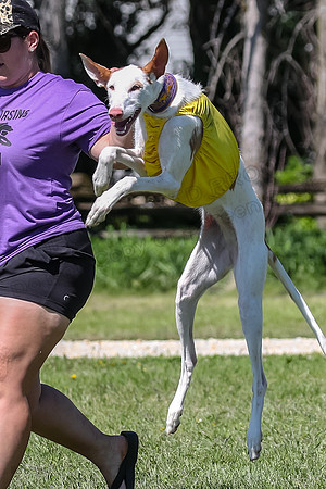 Finals Fch 1 Willow Penny Madyson-8224