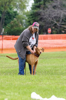 MCH78736