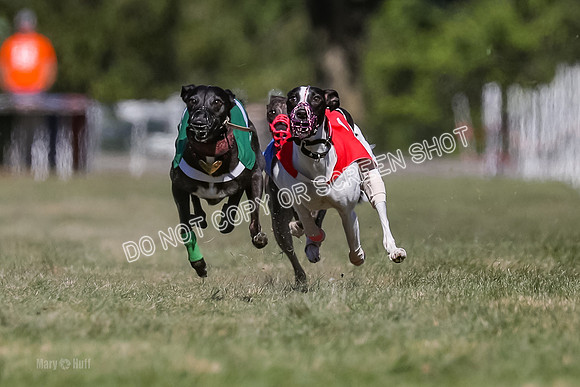 Prg 4, Race 3, Dazzle Margot Cherry Pie Clyps Tahoe-0128