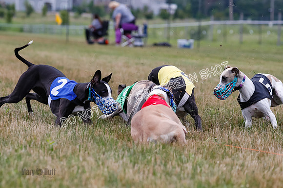 Prg 3, Race 4, Rowan-Jett-Blaze-Shimmy-Bogie-1149
