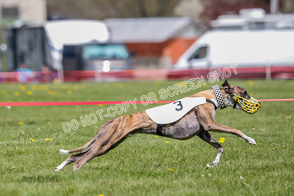 NOTRA Program 2, Race 3, Picanha Bibi Watson-2-6
