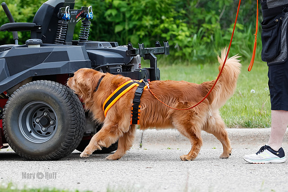 L3 Vehicle-7310