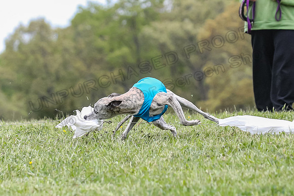 Finals Vets 5, RickyBobby Blue Jewel-2450