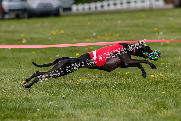 NOTRA Program 3, Race 6, Nami Jamie Sandy Elia-2-11