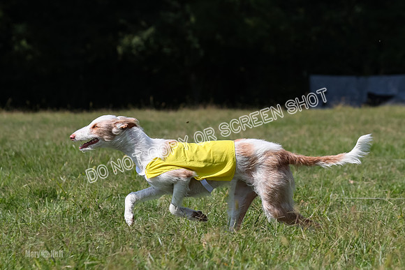 Open Prelim B3, Tavia, Birdie-7951
