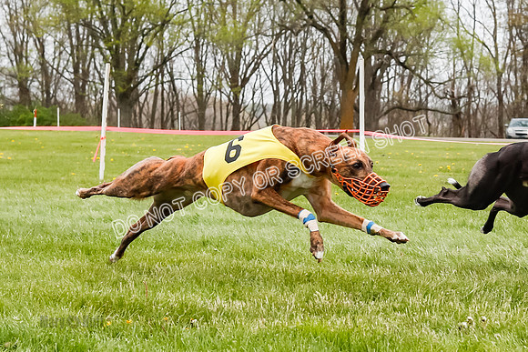 WRA, Prg 4, Race and 6, Beacon Hornet Chernobog Elia Sparks Riggs-9367-2
