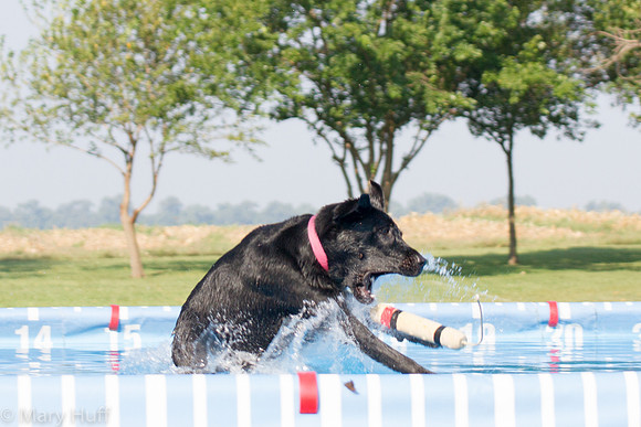 IMG_4397