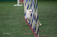 MCH50173