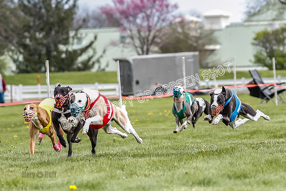 WRA, Prg 1, Race 10, Jamie Pico Nami Elia CC Savvy-8415