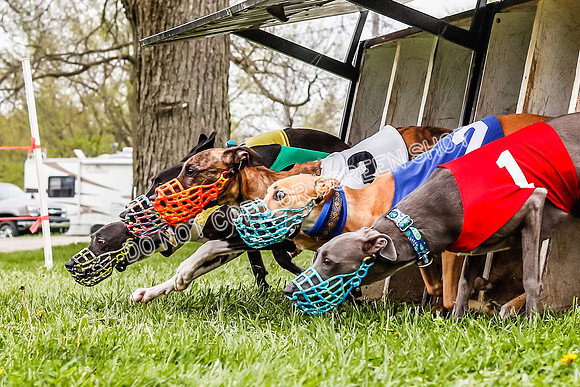 WRA, Prg 3, Race 7, Jubilee Sparks Snacks Tahoe Babblez Stormy-9200