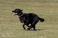 IMG_1530