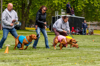 Finals-9135
