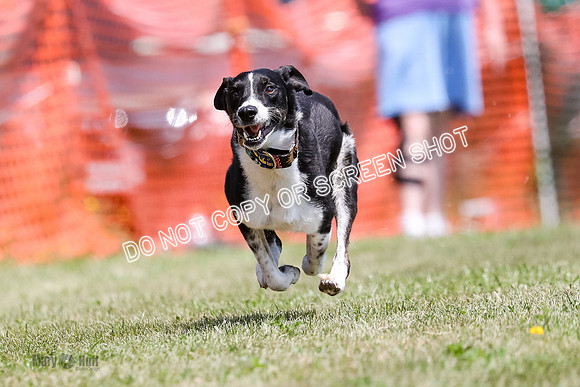 AE4I7319