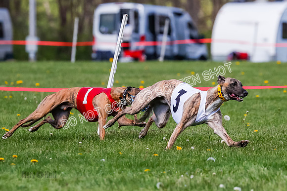 NOTRA Program 2, Race 8, Stoke Nami Nika Eddie-2-5