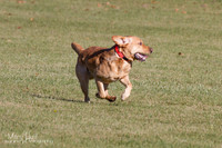 IMG_1352
