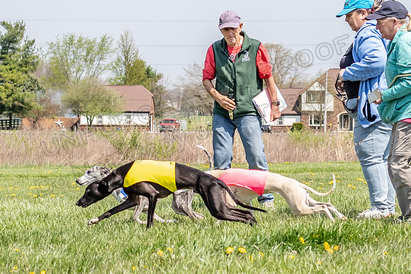 Finals Open A1 Kitsune Lilah Miele-1911