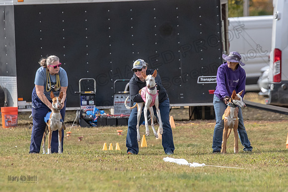 Finals Fch 1 Penny Jadis Madyson-3056
