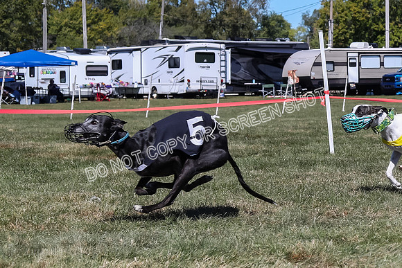 Prg 3, Race 4, Cherry Pie Ruffian Grim Nami Tipa Sprig-9632