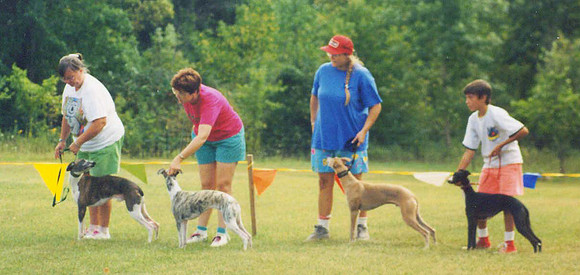 1991 CWA Race Meet Conformation, Jimmer & Megan