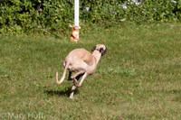 IMG_5447