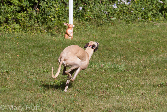 IMG_5447