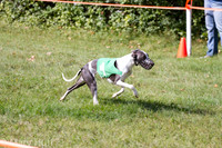 IMG_5451