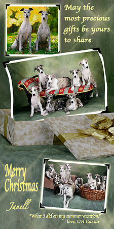 Honza Christmas Card