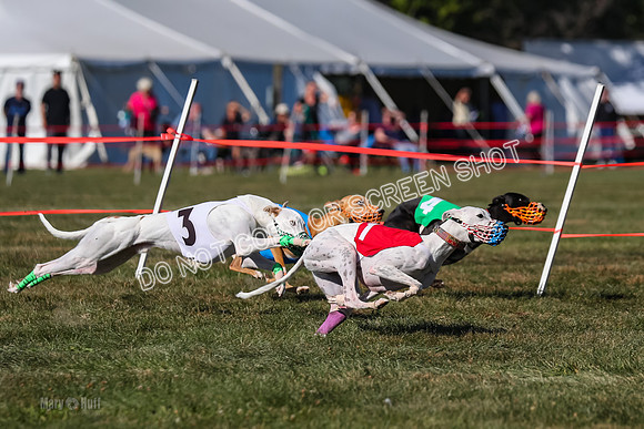 Prg 4, Race 13, oats Bookie Reas Rizzo-2770