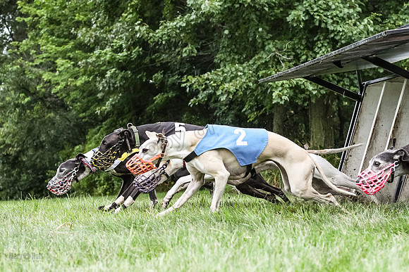 prg 1 race 1 angel nathalia seeker sid zen-3496