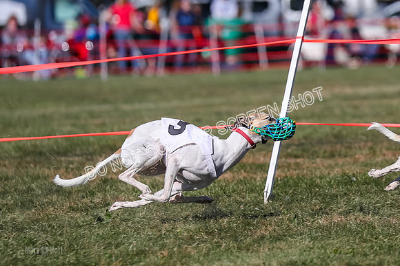 Prg 4, Race 12, Snacks Coty Ryka Stone-2743