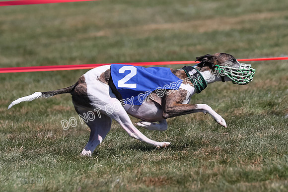 Prg 3, Race 3, Siggy Clyps Lilly-1998