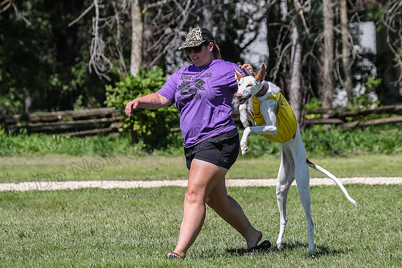 Finals Fch 1 Willow Penny Madyson-8223