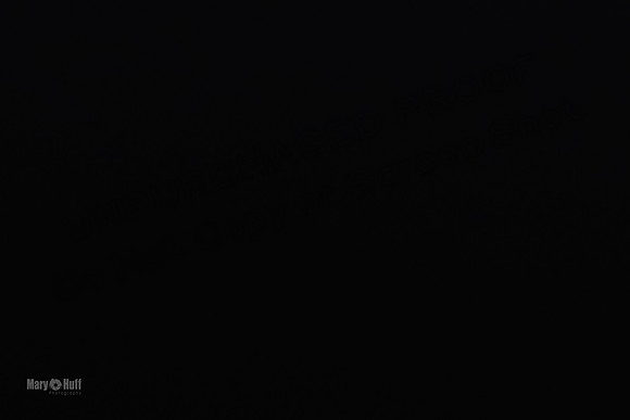 AE4I8092