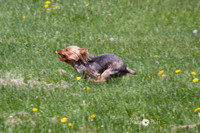 IMG_1239