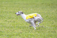 Prelim Specials A1, Booster Leo KinkyBoots-9595