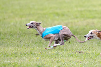 Prelim Specials A2, Laina Mantle Sassy-9625