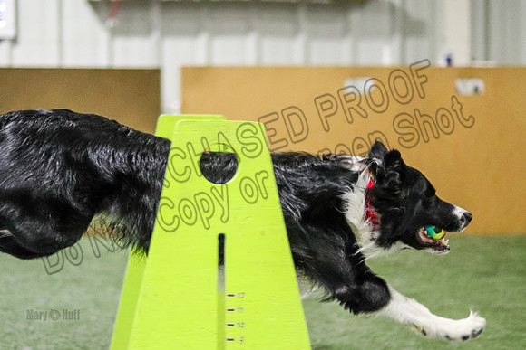 mE4I8566