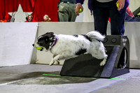 Race 12 Ruff Position Double U vs Milwaukee Dogs Great Balls of Fur