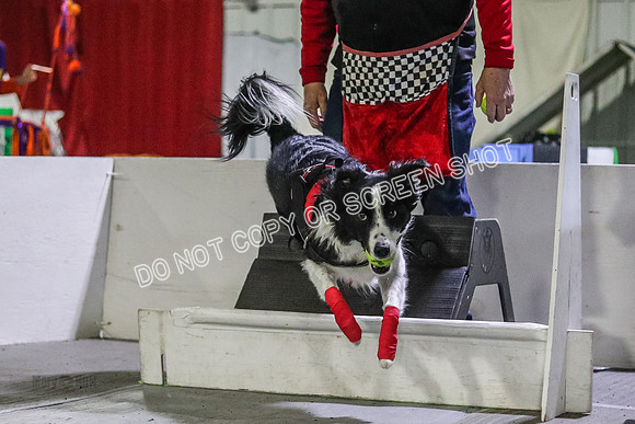 mE4I8875