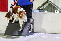 Race 14 Preflight, Milwaukee Dogs Beau