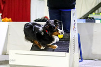 Race 16 Preflight, Ulti-Mutts George