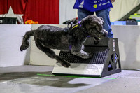 Race 17 Ruff Position W vs K9 Turn N Burn