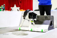 Race 20 Preflight, K9 Wrecking Balls Prism