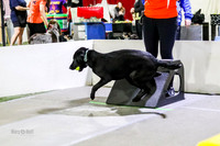 Race 30 Preflight Milwaukee Dogs Raya