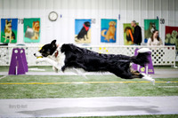 Race 33 Milwaukee Dogs Great Balls of Fur Ruff Position Double U
