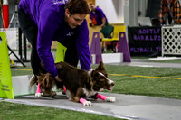 Race 42 Preflight K9 Wrecking Ballz Brave