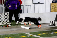 Race 43 Preflight K9 Wrecking Ballz Jetson