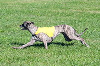 Prelim, Lola-Pearl-3768